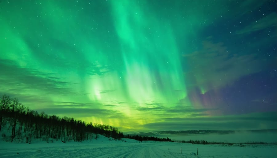 Spectacular green northern lights illuminating a winter night sky over snow-covered terrain