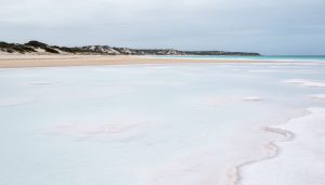 Wide view of Esperance’s Pink Lake with pale milky blue saltflat water and distant turquoise Southern Ocean under an overcast sky.
